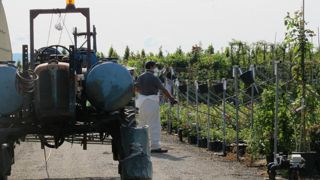 Les ventes de produits phytosanitaires ont fortement diminué entre 2018 et 2019. ©V. Vidril